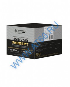 Моторокомплект 24-1000105-20 (Эксперт) КОСТРОМА - at66.ru - Екатеринбург